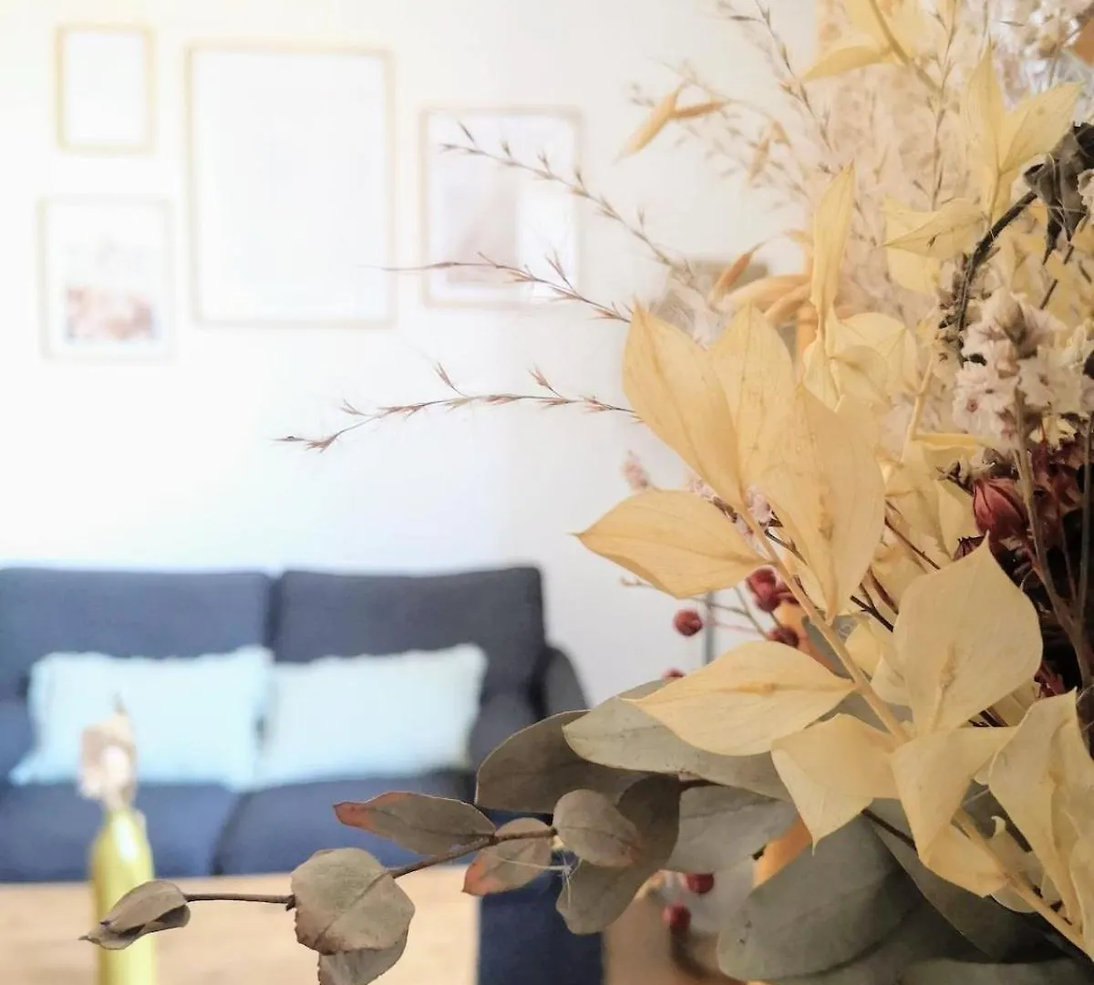 Appartement Studio Cosy Centre-Ville Auray Apartment