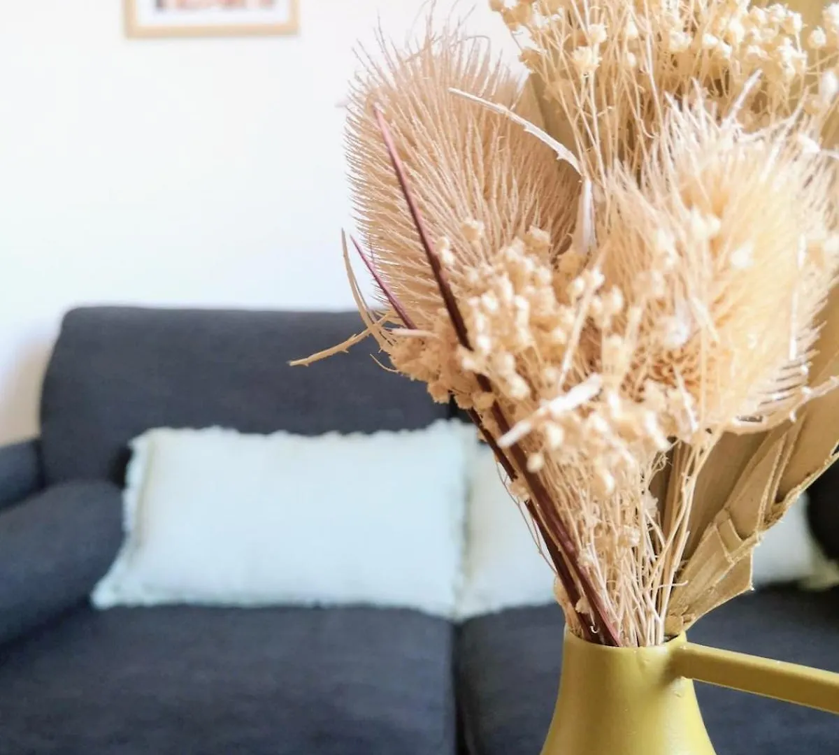 Apartment Appartement Studio Cosy Centre-Ville Auray